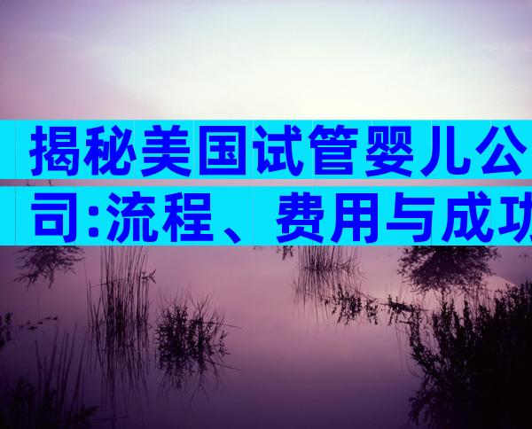 揭秘美国试管婴儿公司:流程、费用与成功率一网打尽