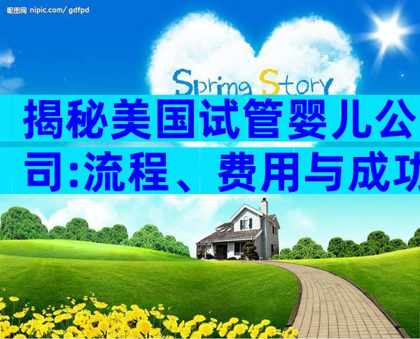 揭秘美国试管婴儿公司:流程、费用与成功率大比拼
