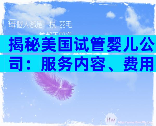 揭秘美国试管婴儿公司：服务内容、费用构成与成功率全解析