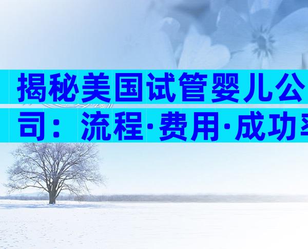 揭秘美国试管婴儿公司：流程·费用·成功率全方位解读