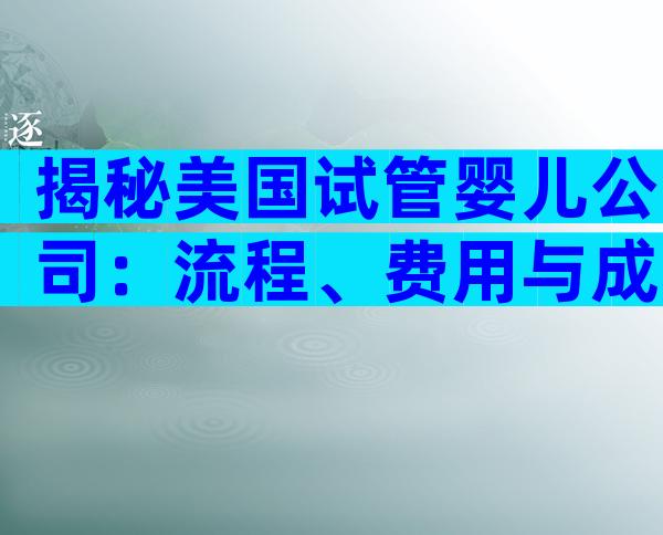揭秘美国试管婴儿公司：流程、费用与成功率一网打尽