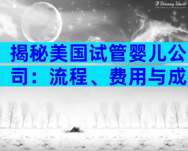 揭秘美国试管婴儿公司：流程、费用与成功率大比拼