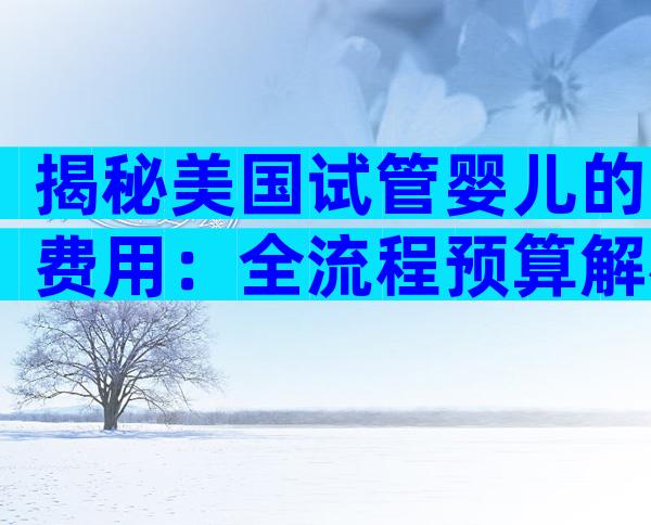揭秘美国试管婴儿的费用：全流程预算解析与省钱攻略