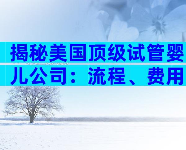 揭秘美国顶级试管婴儿公司：流程、费用与成功率全攻略