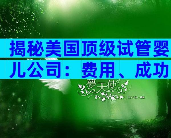 揭秘美国顶级试管婴儿公司：费用、成功率和服务全方位对比