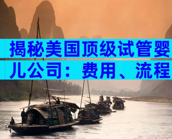 揭秘美国顶级试管婴儿公司：费用、流程与成功要点全解析