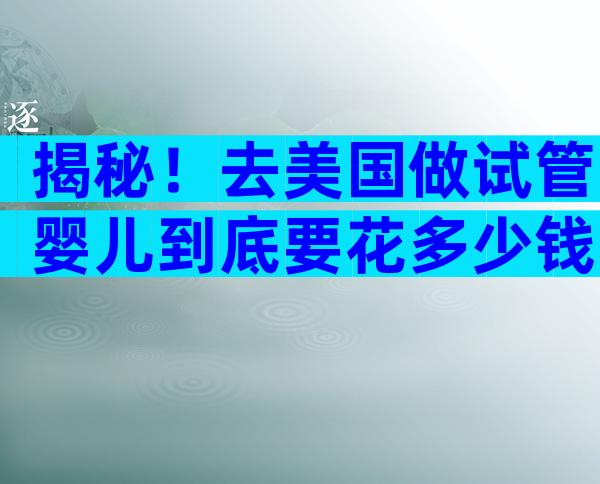 揭秘！去美国做试管婴儿到底要花多少钱？费用清单全披露