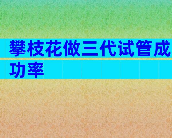 攀枝花做三代试管成功率