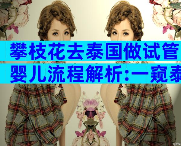 攀枝花去泰国做试管婴儿流程解析:一窥泰国三代试管婴儿之路