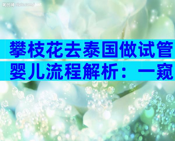 攀枝花去泰国做试管婴儿流程解析：一窥泰国三代试管婴儿之路