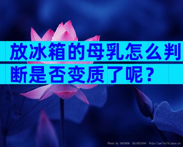 放冰箱的母乳怎么判断是否变质了呢？