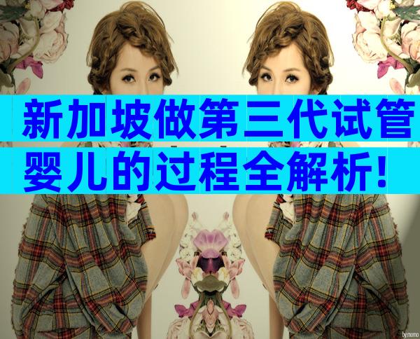 新加坡做第三代试管婴儿的过程全解析!