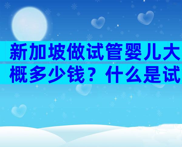新加坡做试管婴儿大概多少钱？什么是试管婴儿？