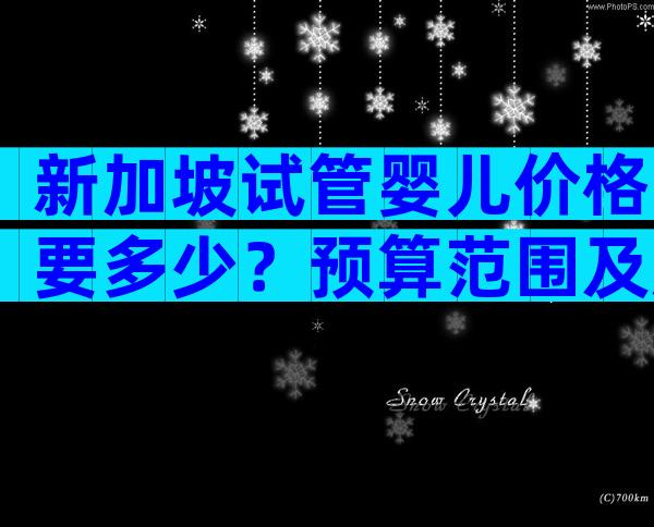新加坡试管婴儿价格要多少？预算范围及成功率！