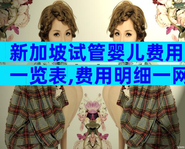 新加坡试管婴儿费用一览表,费用明细一网打尽!