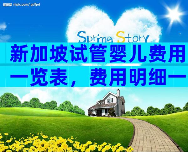 新加坡试管婴儿费用一览表，费用明细一网打尽！