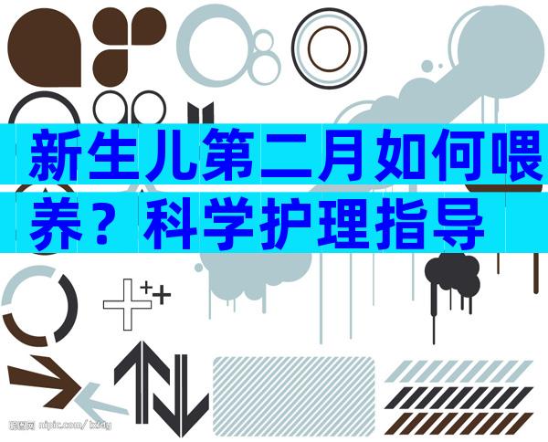 新生儿第二月如何喂养？科学护理指导