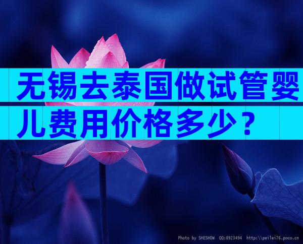 无锡去泰国做试管婴儿费用价格多少？