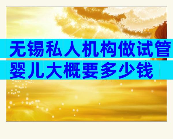 无锡私人机构做试管婴儿大概要多少钱