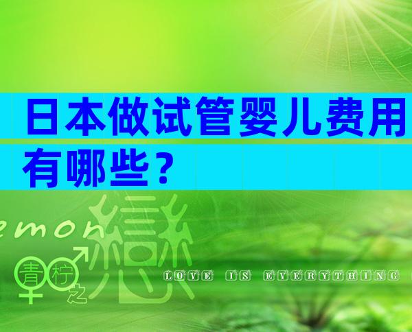 日本做试管婴儿费用有哪些？