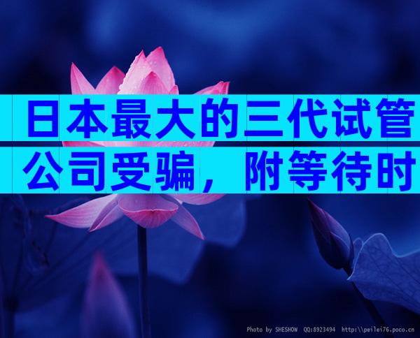 日本最大的三代试管公司受骗，附等待时间一览