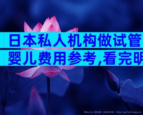 日本私人机构做试管婴儿费用参考,看完明细就知道多少钱了