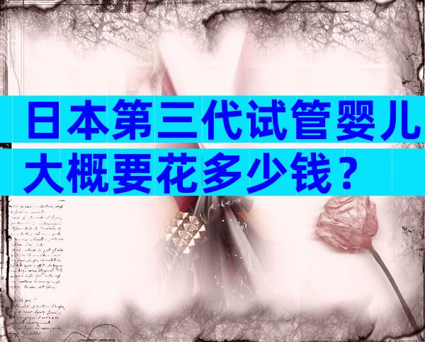 日本第三代试管婴儿大概要花多少钱？