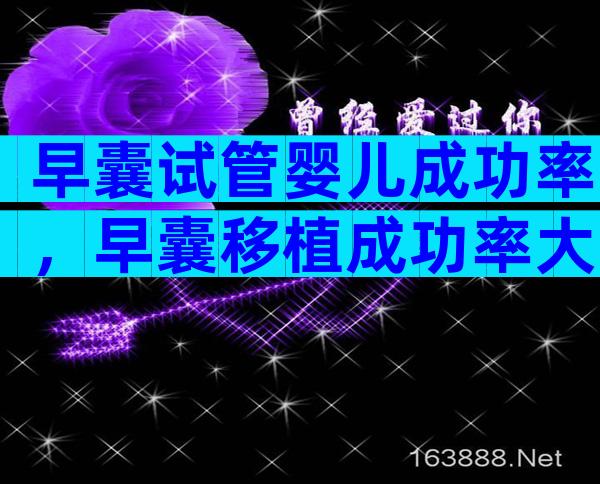 早囊试管婴儿成功率，早囊移植成功率大不大？