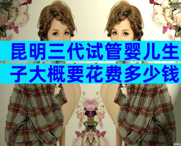 昆明三代试管婴儿生子大概要花费多少钱？再贵也要做