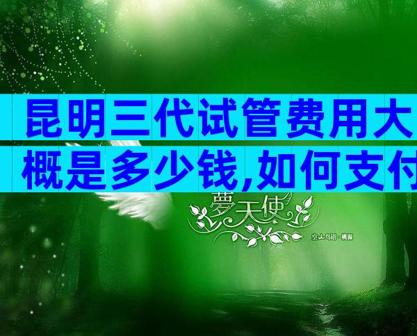 昆明三代试管费用大概是多少钱,如何支付比较好