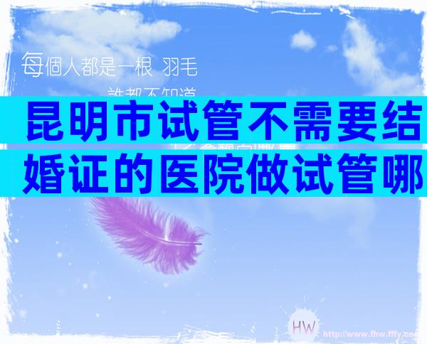 昆明市试管不需要结婚证的医院做试管哪家好