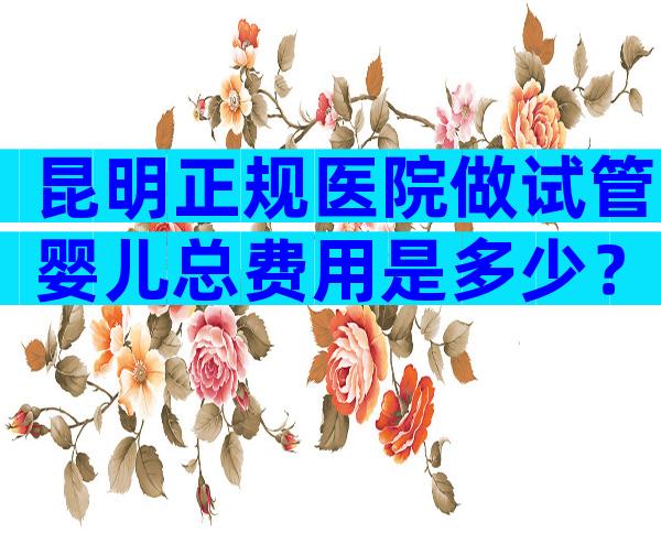 昆明正规医院做试管婴儿总费用是多少？