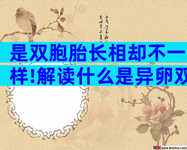 是双胞胎长相却不一样!解读什么是异卵双胞胎