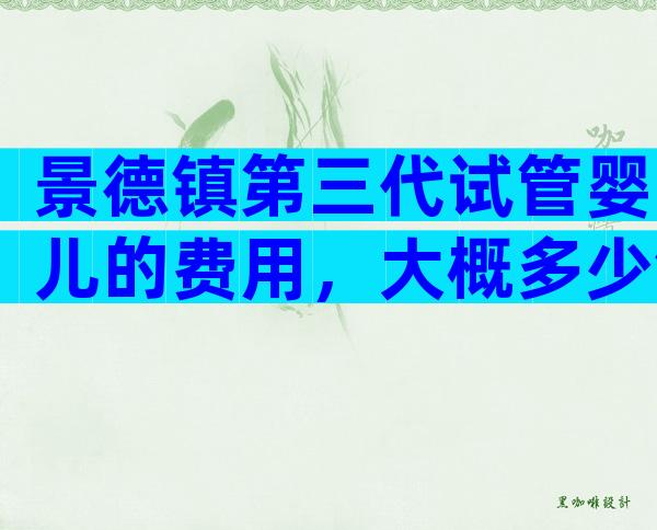景德镇第三代试管婴儿的费用，大概多少钱？