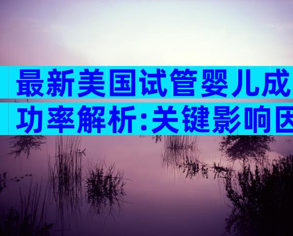 最新美国试管婴儿成功率解析:关键影响因素与备孕策略