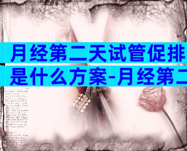 月经第二天试管促排是什么方案-月经第二天促排还是第三天促排