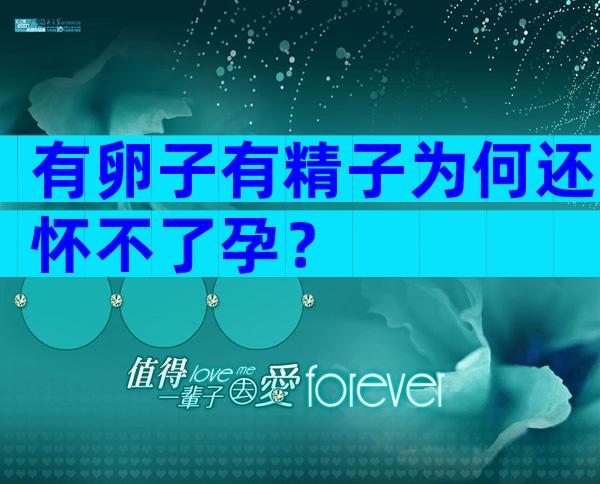 有卵子有精子为何还怀不了孕？
