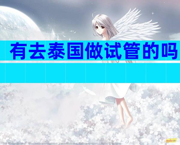 有去泰国做试管的吗