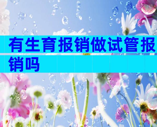 有生育报销做试管报销吗