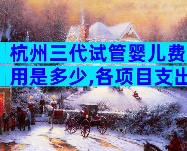 杭州三代试管婴儿费用是多少,各项目支出明细告诉你答案