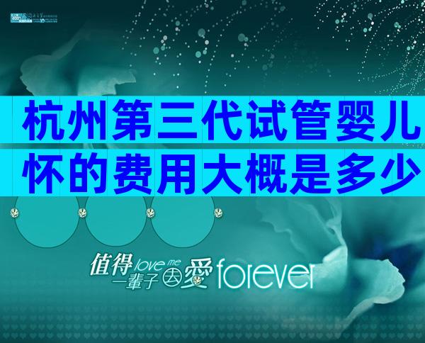 杭州第三代试管婴儿怀的费用大概是多少？