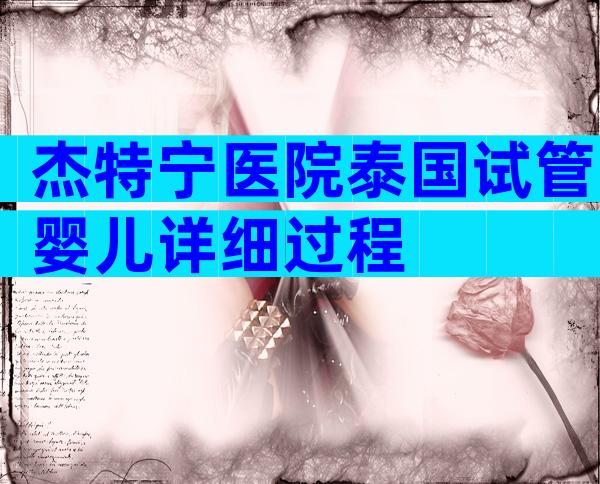 杰特宁医院泰国试管婴儿详细过程