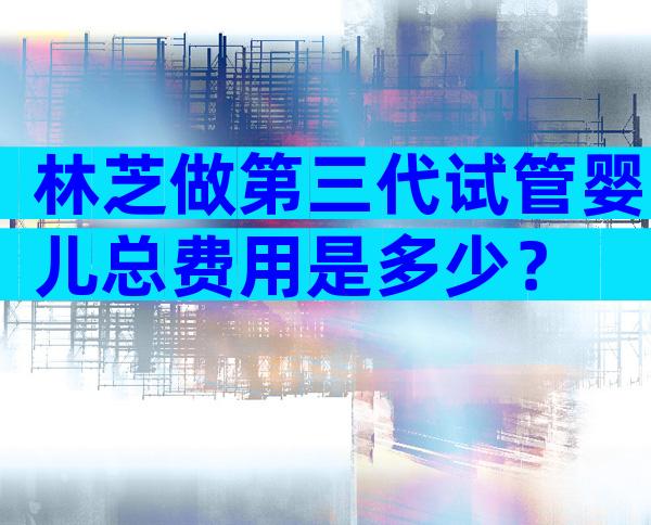 林芝做第三代试管婴儿总费用是多少？