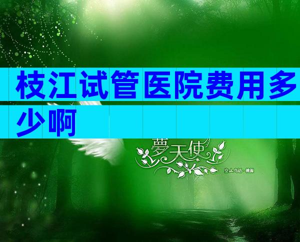 枝江试管医院费用多少啊