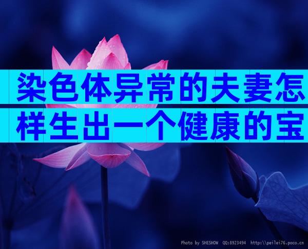 染色体异常的夫妻怎样生出一个健康的宝宝？