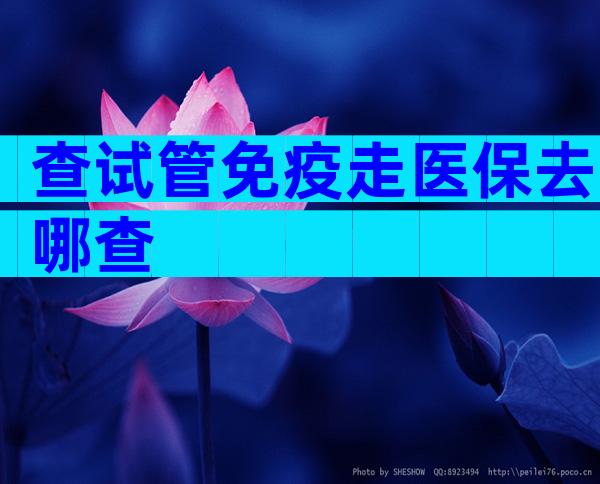 查试管免疫走医保去哪查