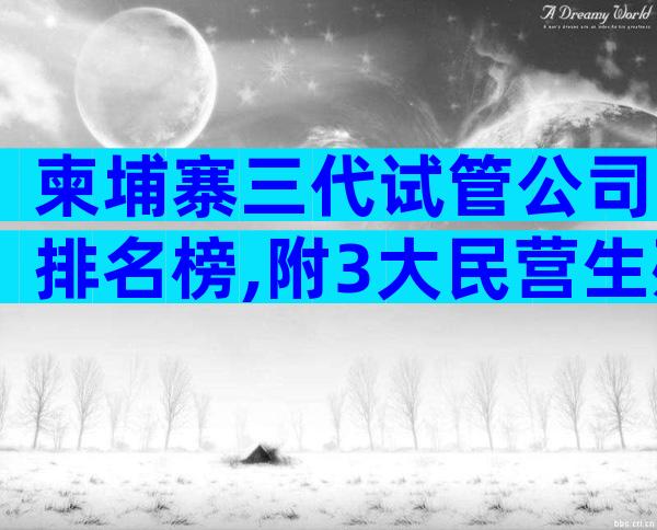 柬埔寨三代试管公司排名榜,附3大民营生殖中心详解