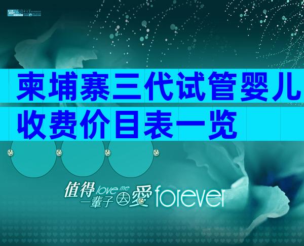 柬埔寨三代试管婴儿收费价目表一览