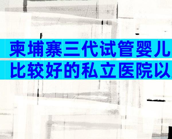 柬埔寨三代试管婴儿比较好的私立医院以及价格，选择哪个医生好