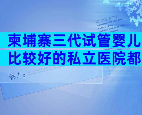 柬埔寨三代试管婴儿比较好的私立医院都是哪些？公立医院试管婴儿科普